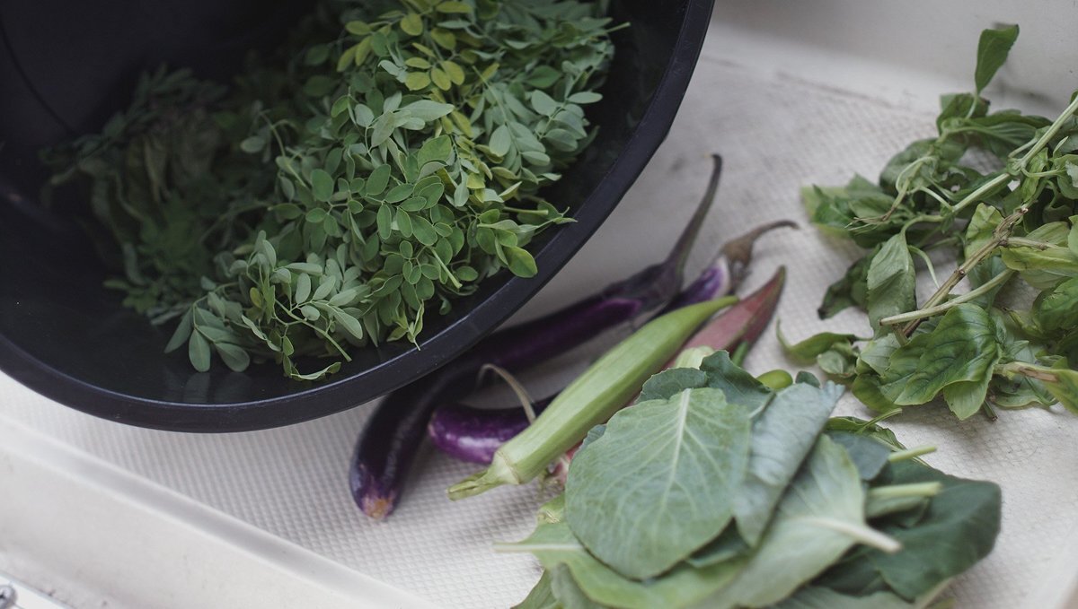 A bucket laying over its side and spilling with fresh greens and vegetables like eggplans, okra, basil and moringa